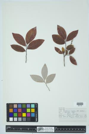 90448-Service File.jpg