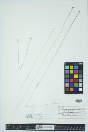 90453-Service File.jpg