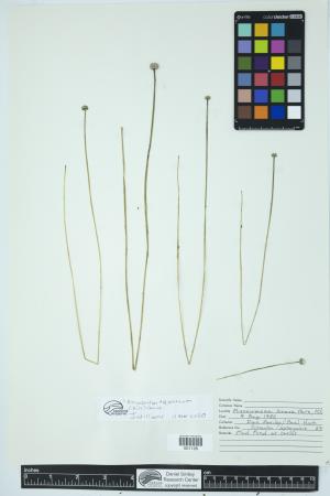 90454-Service File.jpg