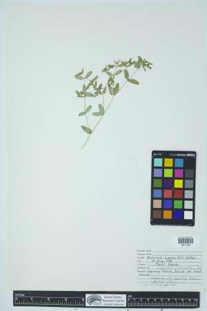 90460-Service File.jpg