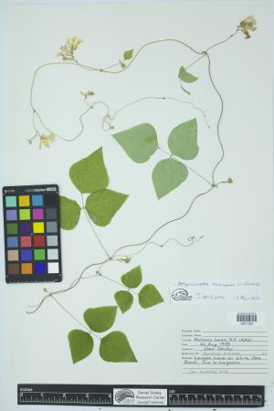 90467-Service File.jpg