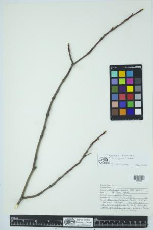 90473-Service File.jpg
