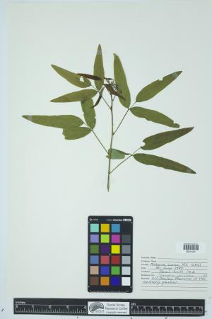 90485-Service File.jpg