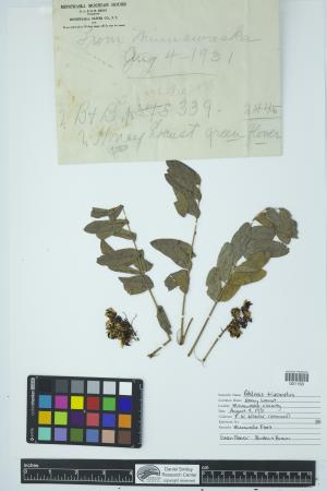 90486-Service File.jpg