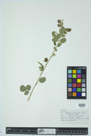 90491-Service File.jpg