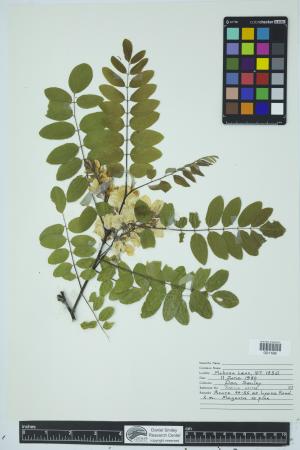 90512-Service File.jpg