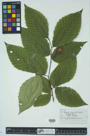 90540-Service File.jpg