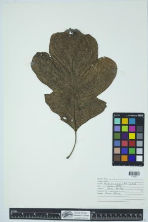 90545-Service File.jpg