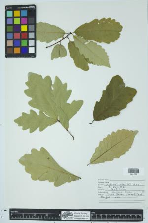 90552-Service File.jpg
