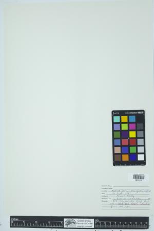 90554-Service File.jpg