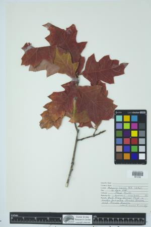 90555-Service File.jpg