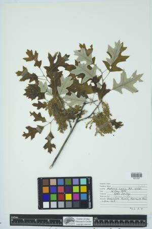 90560-Service File.jpg