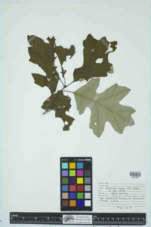 90561-Service File.jpg