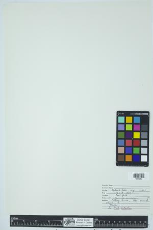 90564-Service File.jpg