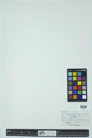 90565-Service File.jpg