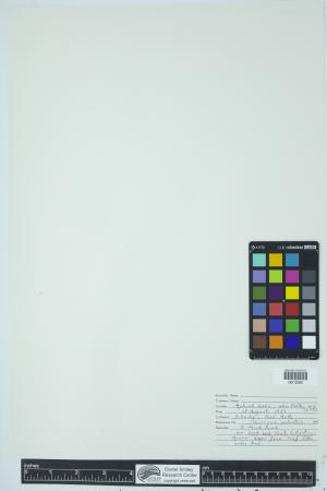 90576-Service File.jpg