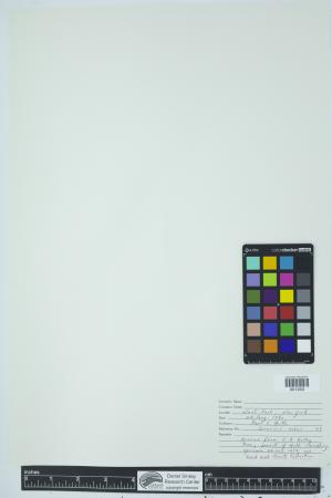 90583-Service File.jpg