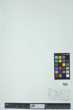 90585-Service File.jpg