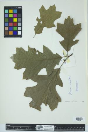 90610-Service File.jpg