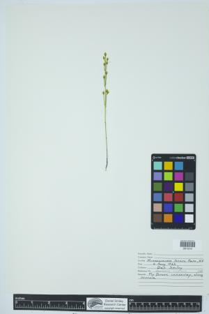 90626-Service File.jpg