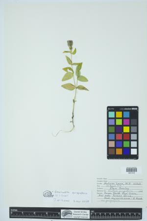 90628-Service File.jpg