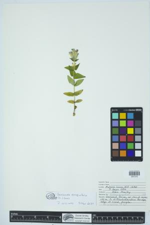 90629-Service File.jpg