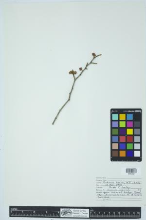 90647-Service File.jpg