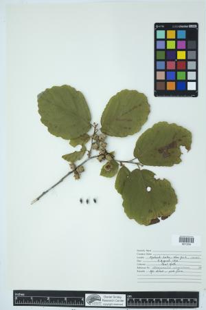 90649-Service File.jpg