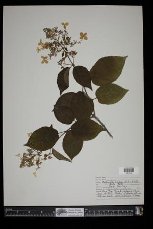 90655-Service File.jpg