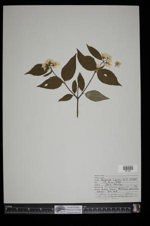 90656-Service File.jpg