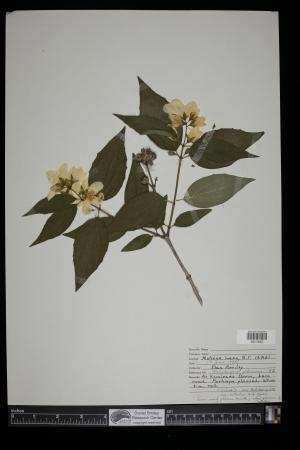 90658-Service File.jpg