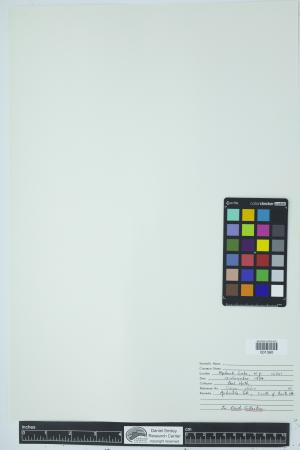 90674-Service File.jpg