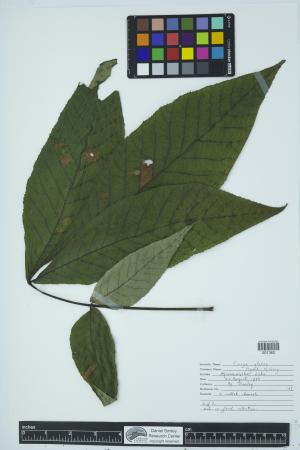 90676-Service File.jpg