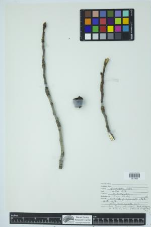 90680-Service File.jpg