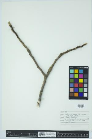 90684-Service File.jpg