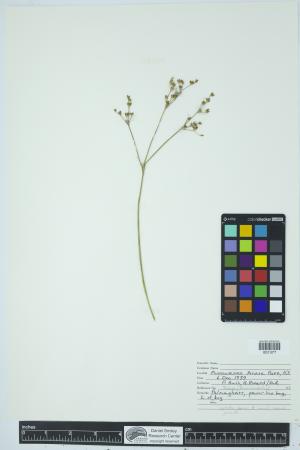 90691-Service File.jpg