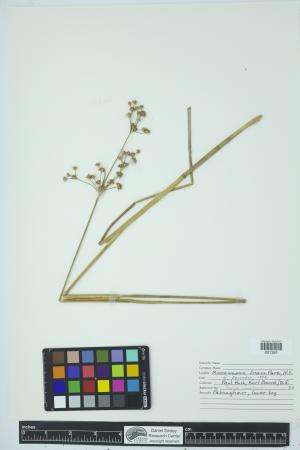 90695-Service File.jpg