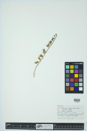 90710-Service File.jpg