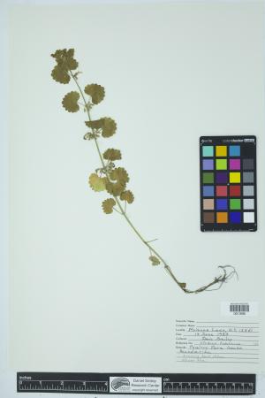 90712-Service File.jpg