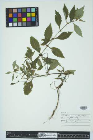 90721-Service File.jpg
