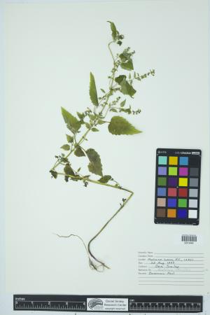 90758-Service File.jpg