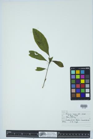 90762-Service File.jpg
