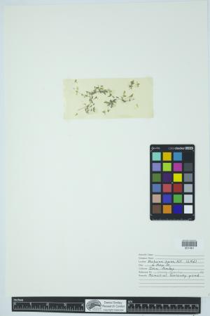 90775-Service File.jpg