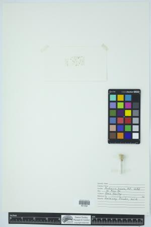 90776-Service File.jpg