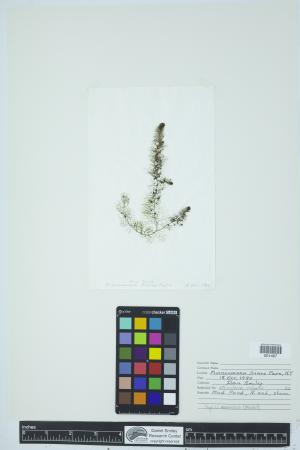 90781-Service File.jpg