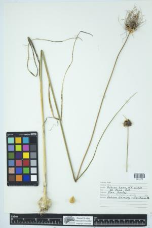 90783-Service File.jpg