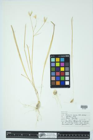 90805-Service File.jpg