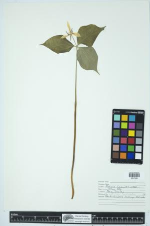 90811-Service File.jpg