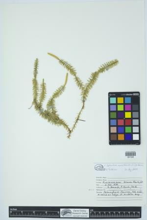 90826-Service File.jpg