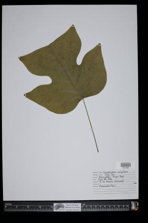 90838-Service File.jpg